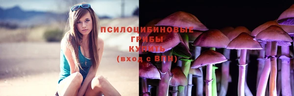spice Кулебаки