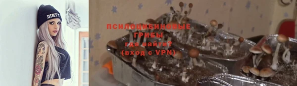 прущая мука Лагань